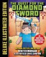 The Quest for the Diamond Sword Online