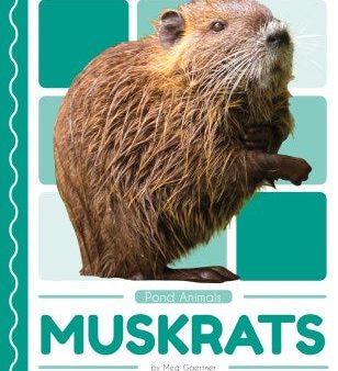 Muskrats For Cheap